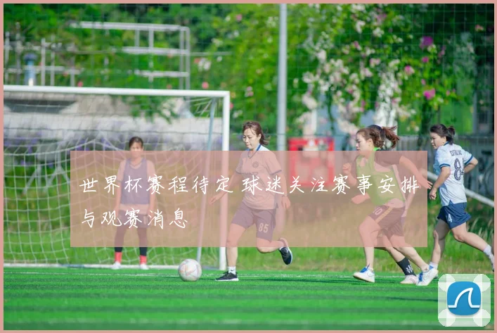 世界杯赛程待定 球迷关注赛事安排与观赛消息