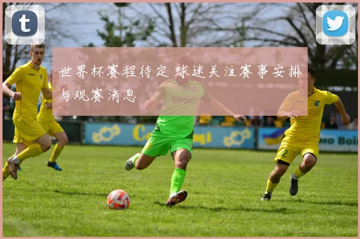 世界杯赛程待定 球迷关注赛事安排与观赛消息