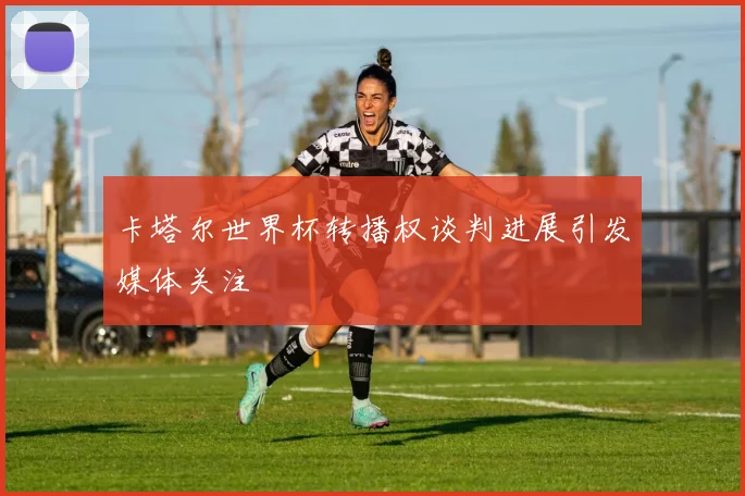 卡塔尔世界杯转播权谈判进展引发媒体关注