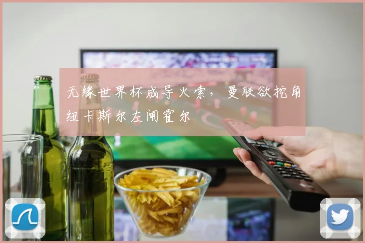 无缘世界杯成导火索,曼联欲挖角纽卡斯尔左闸霍尔