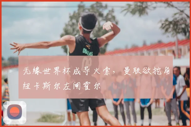 无缘世界杯成导火索,曼联欲挖角纽卡斯尔左闸霍尔