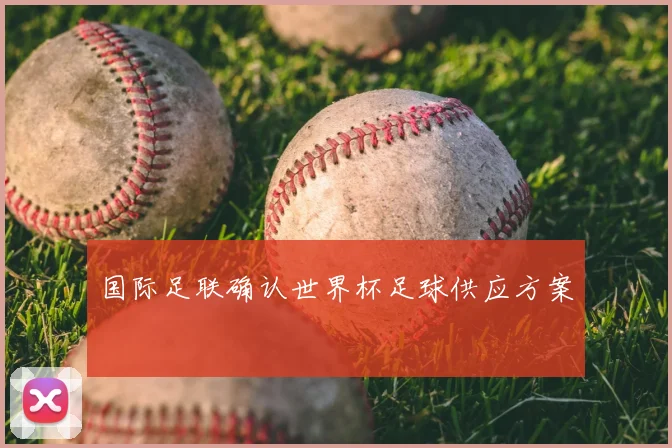 国际足联确认世界杯足球供应方案