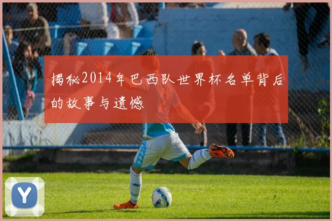 揭秘2014年巴西队世界杯名单背后的故事与遗憾