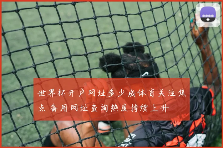 世界杯开户网址多少成体育关注焦点 备用网址查询热度持续上升