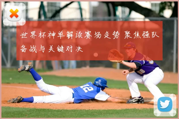 世界杯神单解读赛场走势 聚焦强队备战与关键对决